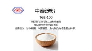 TGE-100 非預糊化 羥丙基二淀粉磷酸酯
